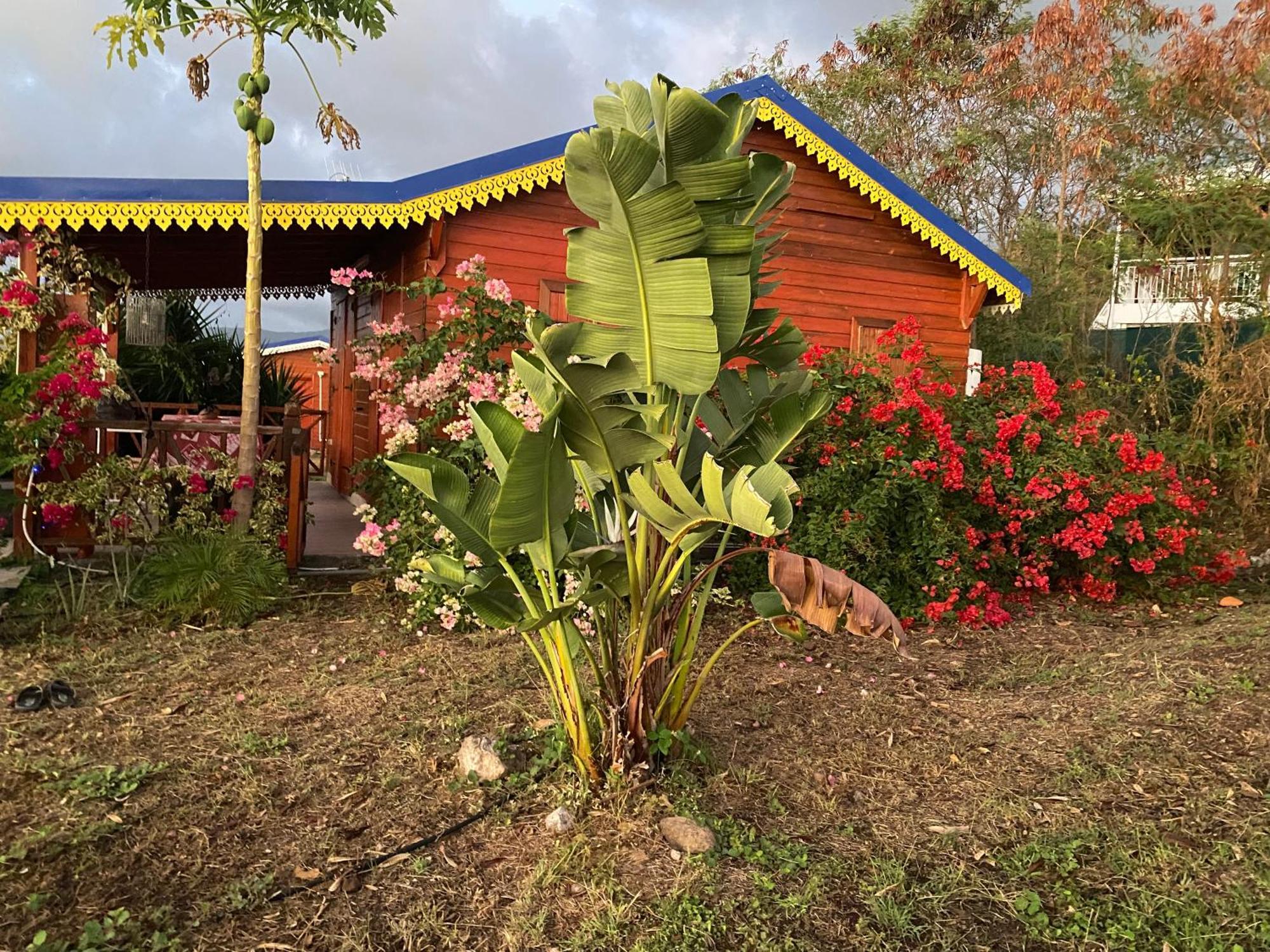 Bungalows Mathilde-Non Fumeur Bouillante Buitenkant foto